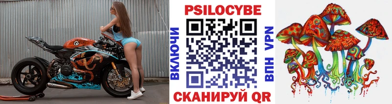 что такое   Анадырь  Псилоцибиновые грибы Magic Shrooms 